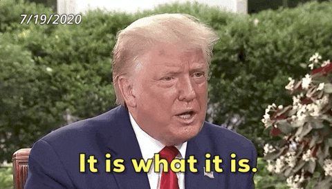 Giphy - Donald Trump GIF by GIPHY News