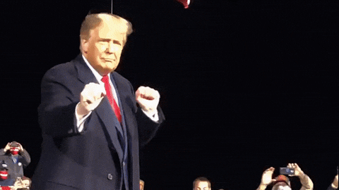 Giphy - Happy Donald Trump GIF by Team Trump