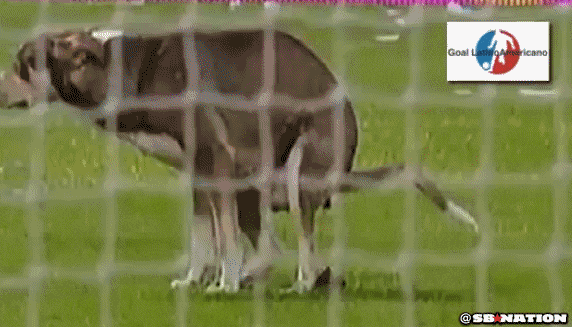 Giphy - poop GIF by SB Nation