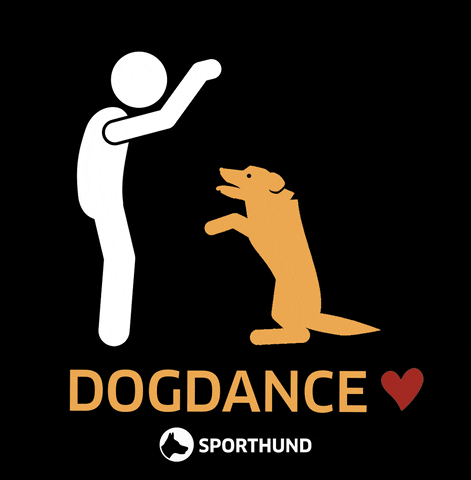 Dance Dog GIF by Sporthund