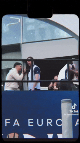 Spurs Tottenham GIF