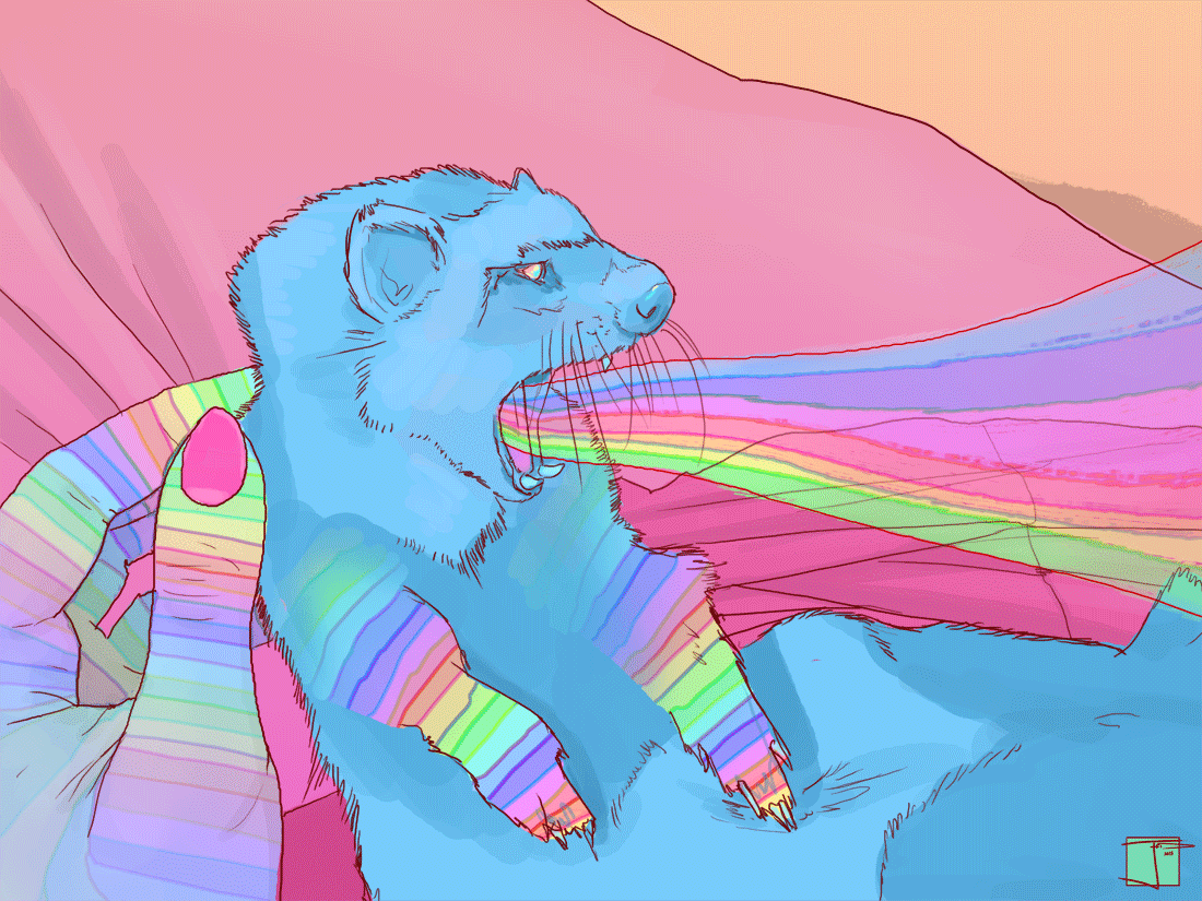 Psychedelia Ferret GIF by Phazed Find & Share on GIPHY