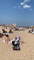 People Gather at Brooklyn's Brighton Beach Ahead of Holiday Weekend