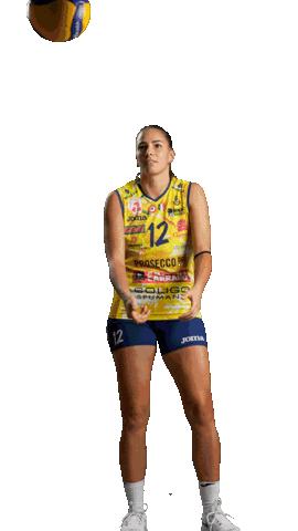 Pericati Sticker by ImocoVolley