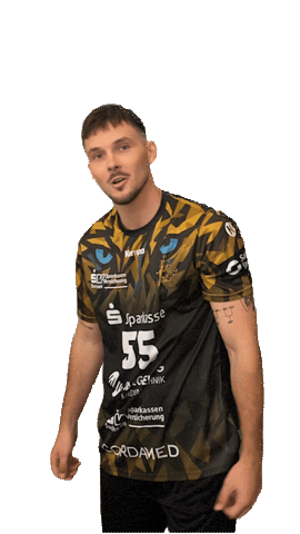 Bundesliga Handball Sticker by hcelbflorenz