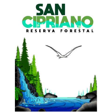Reserva San Cipriano Sticker