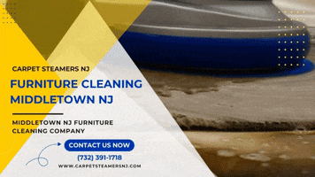 Furniture Cleaning Middletown Nj GIF