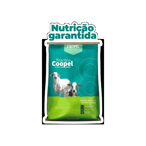 Boi Vaca Sticker by Coopel Agronegócios