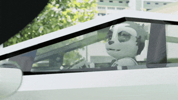 Elon Musk Lol GIF by Endangered Labs