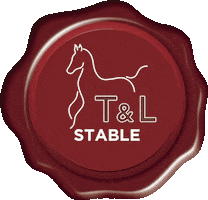 Tl Sticker by My Horse Dealer