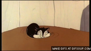feed | GIF | PrimoGIF feed | GIF | PrimoGIF