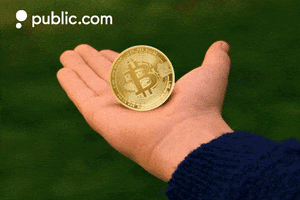 PublicApp crypto bitcoin harry potter cryptocurrency GIF