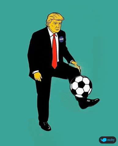 Football Soccer GIF by Moby