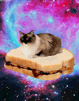 images sandwich GIF