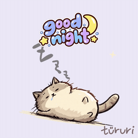 sleepy buddy - good night sleepy cat