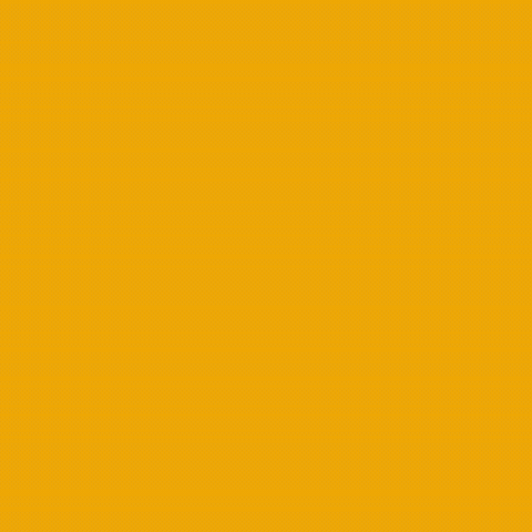 ebimodaafro GIF