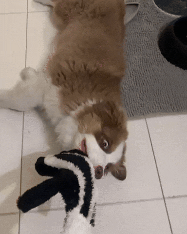 Hold On Floor Mop GIF