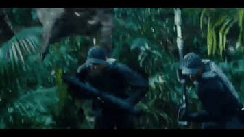 kierrabingham  GIF