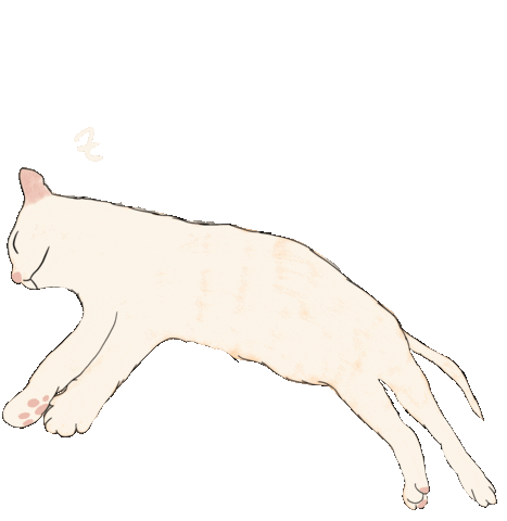 Sleepy Cat Sticker
