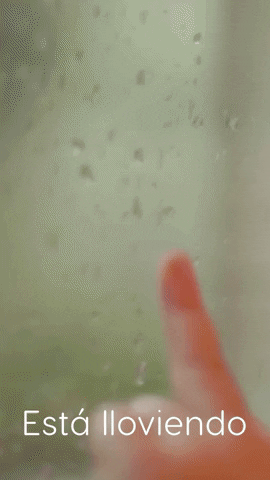 Its Raining Rain GIF by Sealed With A GIF
