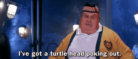 turtle-head meme gif
