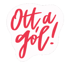 DVSE Vízilabda Sticker