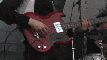 The Redwalls GIF