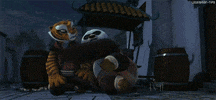 kung fu panda lol GIF