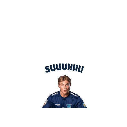 JAGS Vöslau Sticker