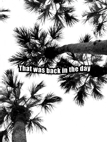 imchristinajohnson black and white drake back palm tree GIF