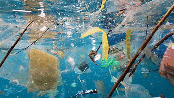 Earth Day GIF by 4ocean