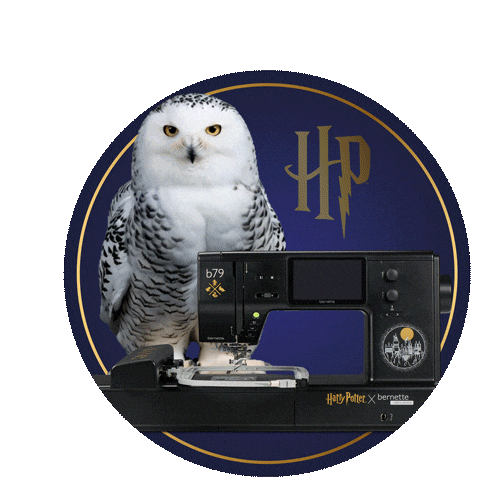 Harry Potter Diy Sticker by BERNINA International AG