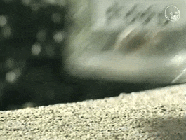 Video gif. Insect is inside of a jar that is labeled, "Food."