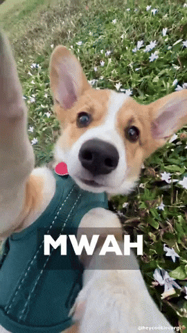 I Love You Kiss GIF