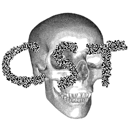 art skull GIF by Pablo Rochat