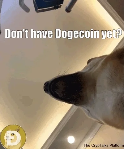 Crypto Dogecoin GIF
