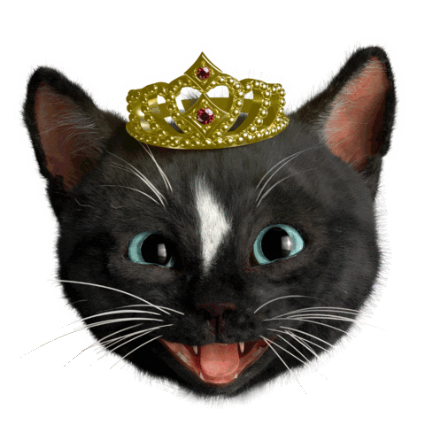 Royal Cat Sticker Sticker by Felini Rocks