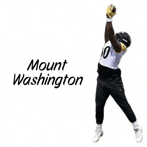 Pittsburgh Steelers GIF