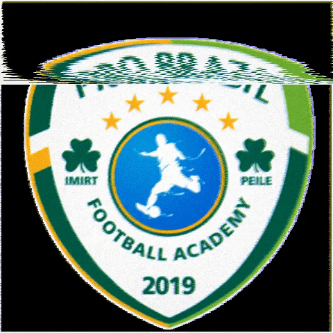 Team Ireland GIF by Pro Brazil Football Academy