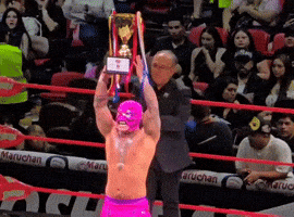 Lucha Libre Win GIF