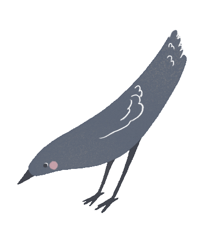 Nature Sticker