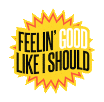 The Vibe Box Sticker