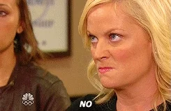 Parks And Recreation No GIF