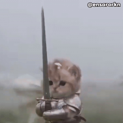 Cat GIF