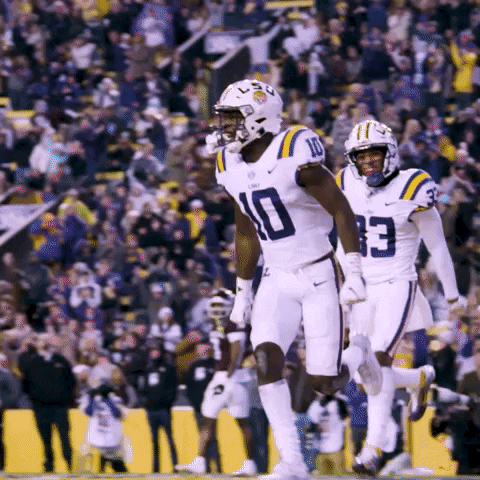 Jumping Death Valley GIF by LSU Tigers
