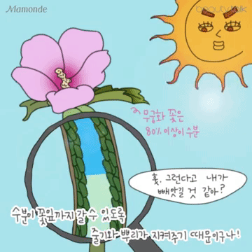 sujinkim  GIF