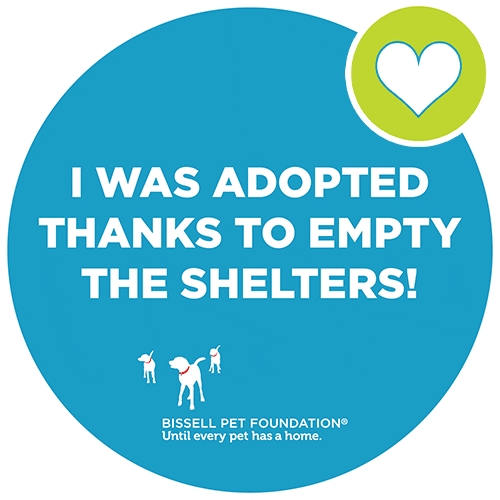 BISSELL Pet Foundation GIF
