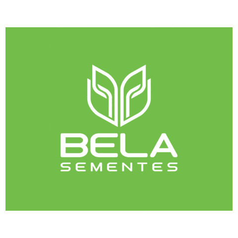 Seed Semente Sticker by Bela Sementes