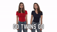 Go Twins Go
