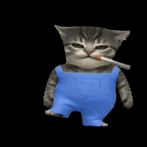 Cat Smoking GIF by POST-WEB